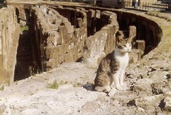 Kat in Rome