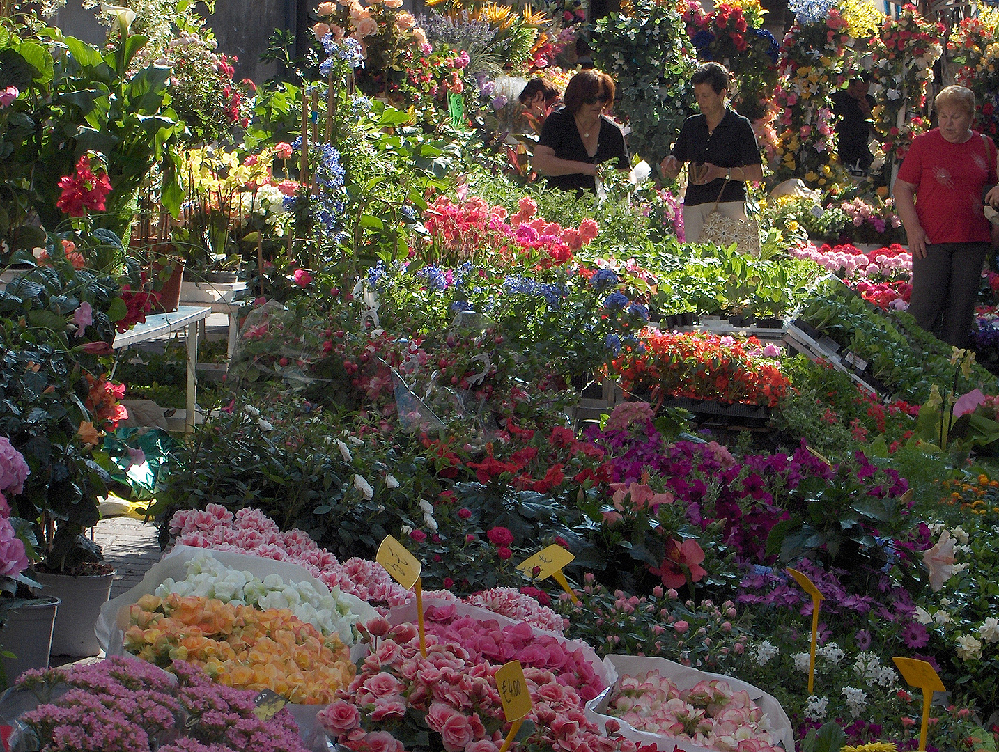 Markt (Bassano del Grappa, Itali); Market (Bassano del Grappa, Italy)