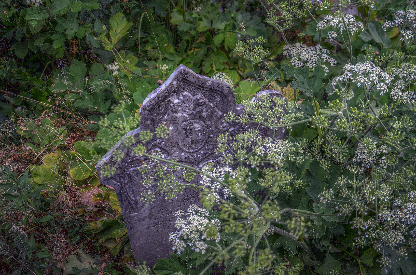 Begraafplaats, Gorfigliano, Toscane, Itali, Cemetery, Gorfigliano, Tuscany, Italy