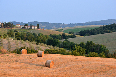 Landschap bij Radicofani (Si. Toscane, Itali); Landscape near Radicofani (Si. Tuscany, Italy)